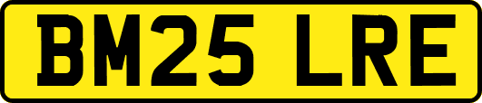 BM25LRE