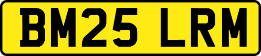 BM25LRM