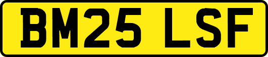 BM25LSF
