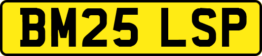 BM25LSP