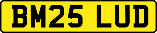 BM25LUD