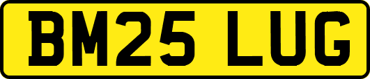 BM25LUG