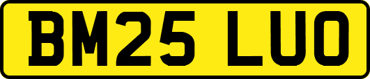 BM25LUO