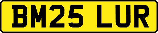 BM25LUR