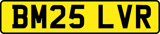 BM25LVR