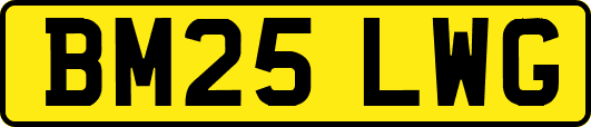 BM25LWG