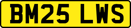 BM25LWS