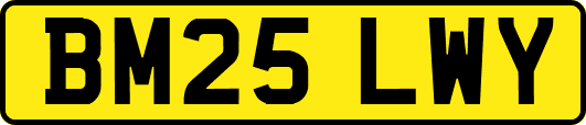 BM25LWY