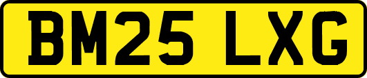 BM25LXG