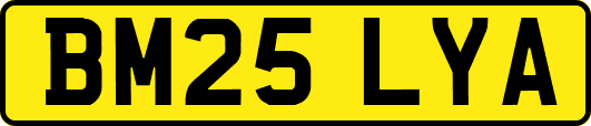 BM25LYA