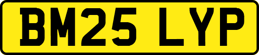 BM25LYP
