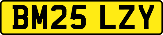 BM25LZY