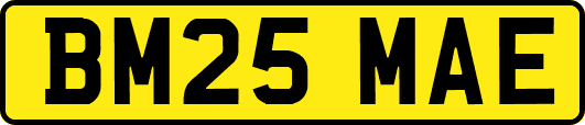 BM25MAE