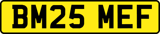 BM25MEF