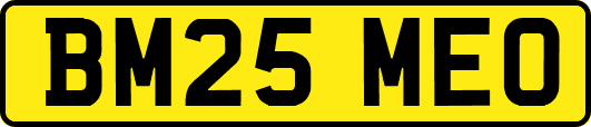 BM25MEO