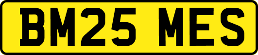 BM25MES