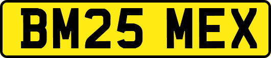 BM25MEX