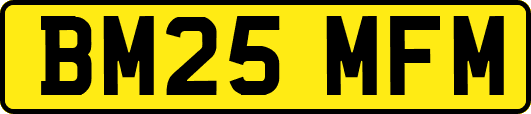 BM25MFM