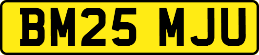 BM25MJU