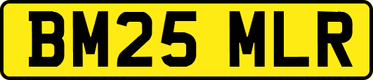 BM25MLR