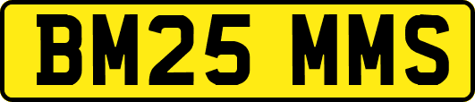 BM25MMS
