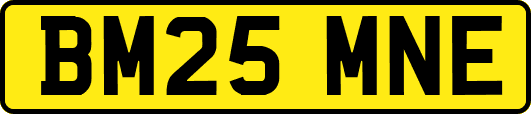 BM25MNE