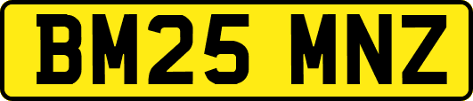 BM25MNZ
