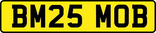 BM25MOB