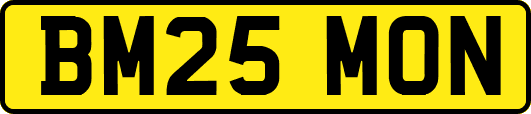 BM25MON