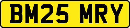 BM25MRY