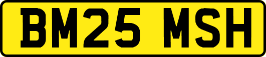 BM25MSH