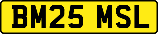 BM25MSL