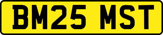 BM25MST