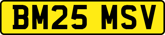BM25MSV