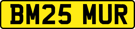 BM25MUR