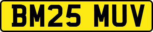 BM25MUV