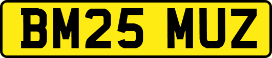 BM25MUZ