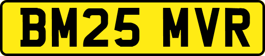 BM25MVR