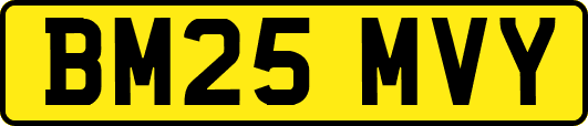 BM25MVY