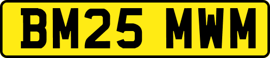 BM25MWM