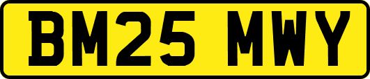 BM25MWY