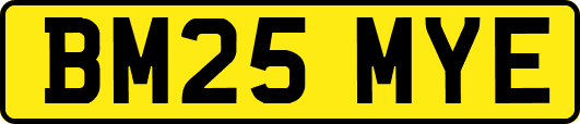 BM25MYE