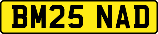 BM25NAD
