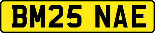 BM25NAE
