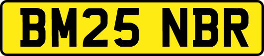 BM25NBR