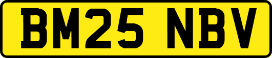 BM25NBV
