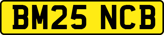 BM25NCB