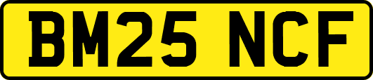 BM25NCF