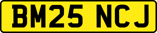 BM25NCJ