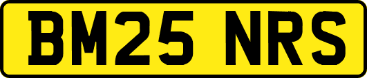 BM25NRS